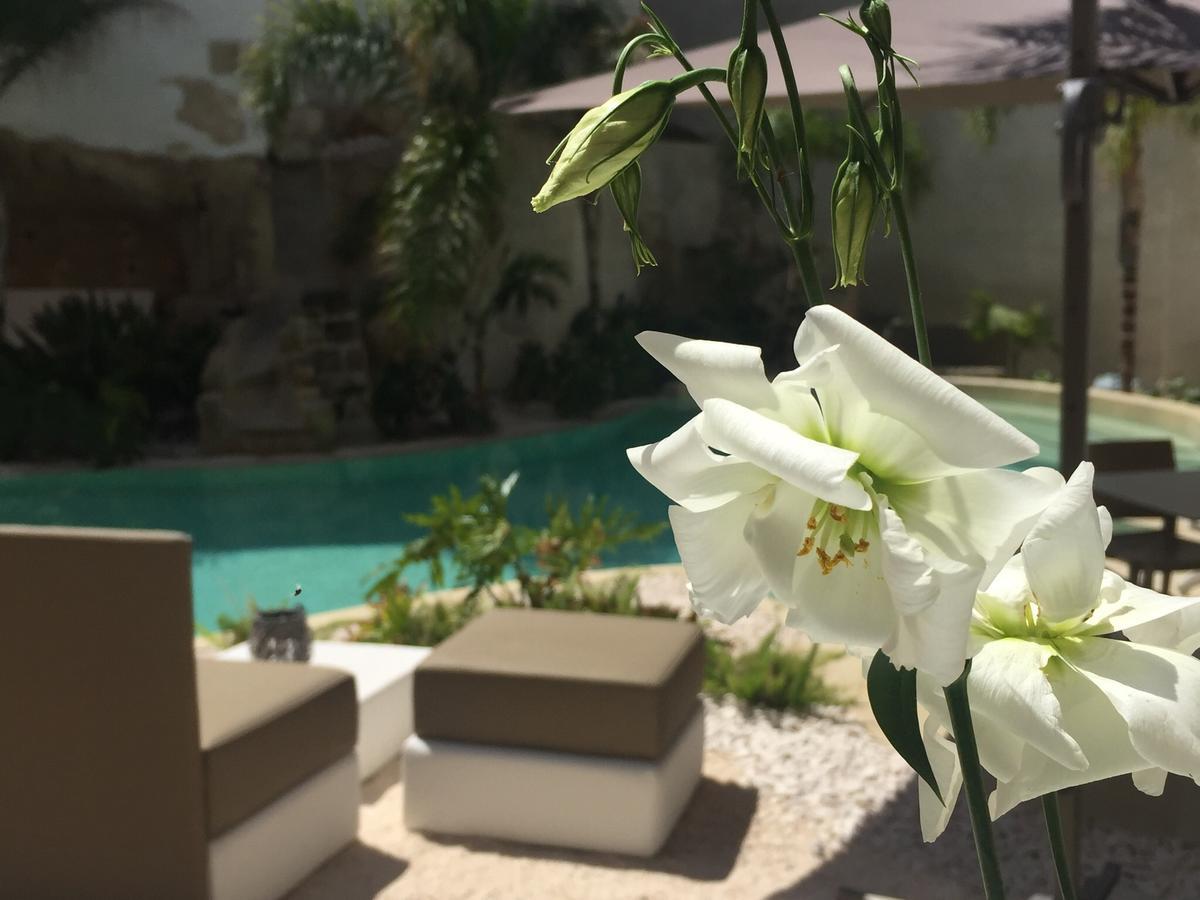 Le Cale Camera Privata In Residence Favignana Ngoại thất bức ảnh